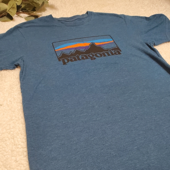 patagonia slim fit t shirt